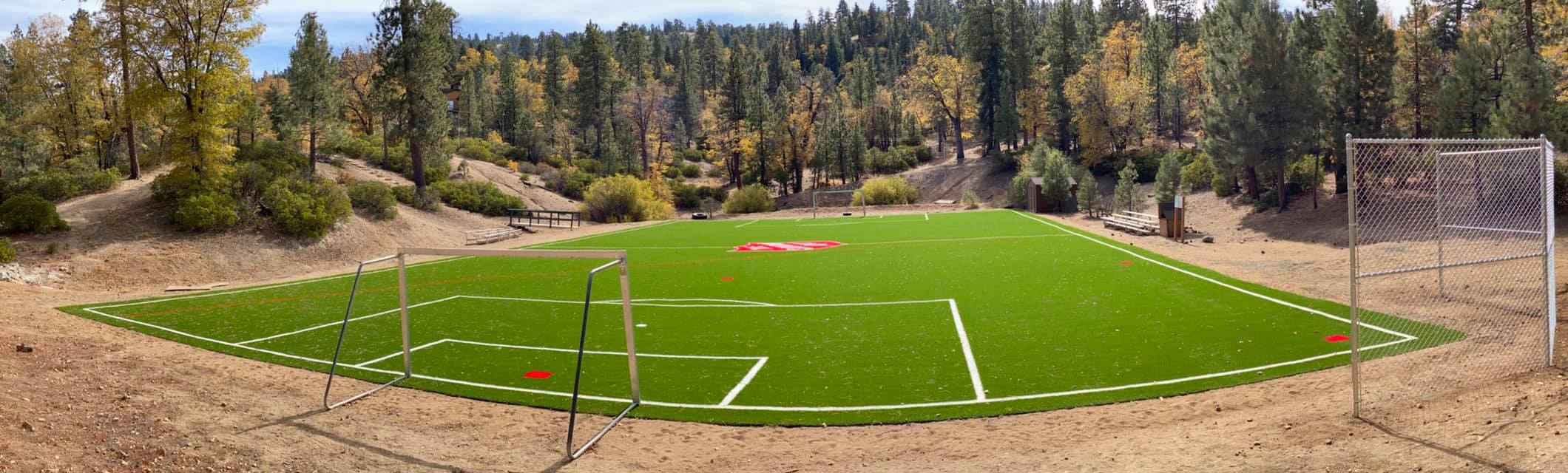 Artificial Sports Turf, Athletic Turf for Gyms, Stadiums. Riverside