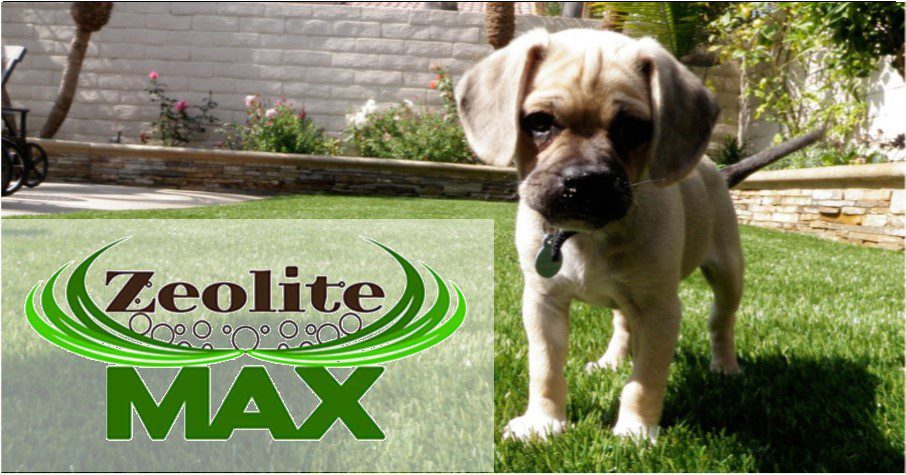 Pet Turf Landscape System for Backyards, Kennels, Dog Parks, Riverside